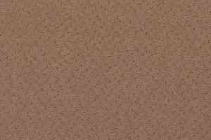 Ковролин Balta ITC Fortesse Fortesse 650 фото  | FLOORDEALER